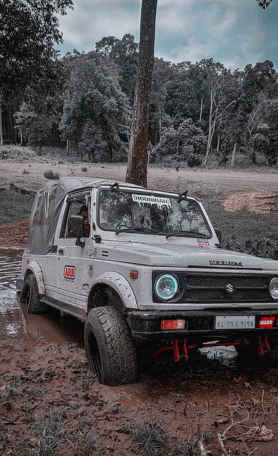 赛成为所有 赛成为所有