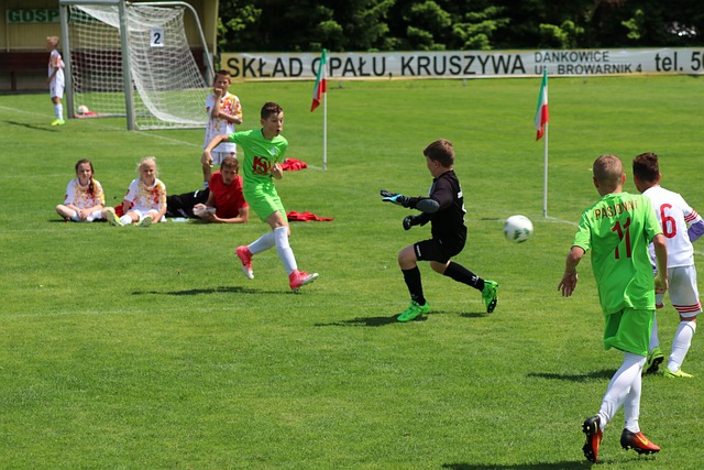 关注的扇巴 关注的扇巴