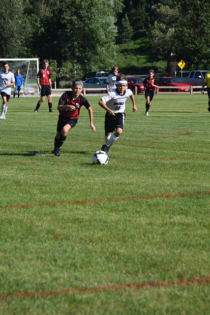 今年的大马 今年的大马