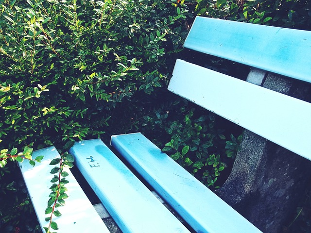 正面交锋 正面交锋