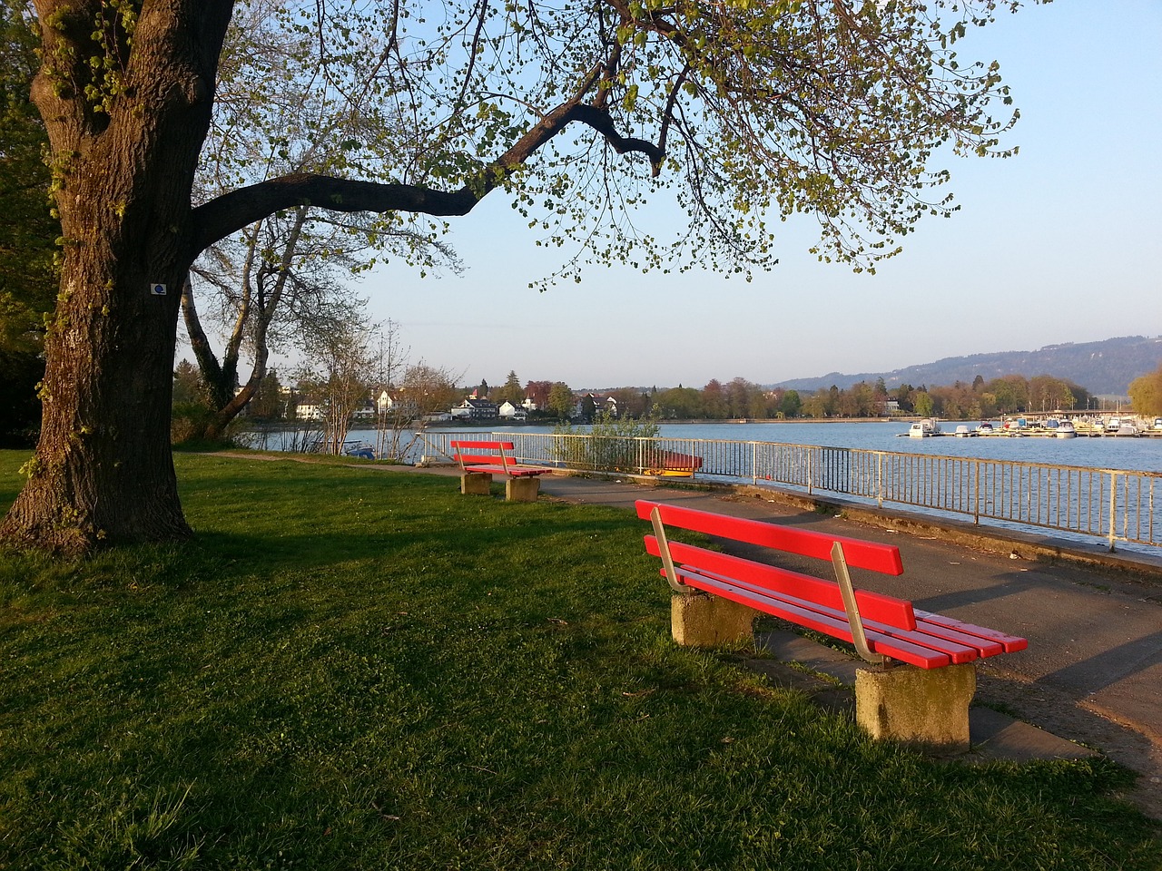 若总是患得 若总是患得