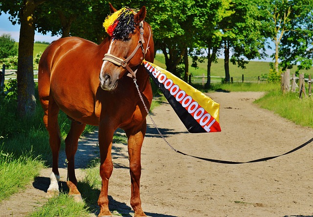 临场战术的 临场战术的